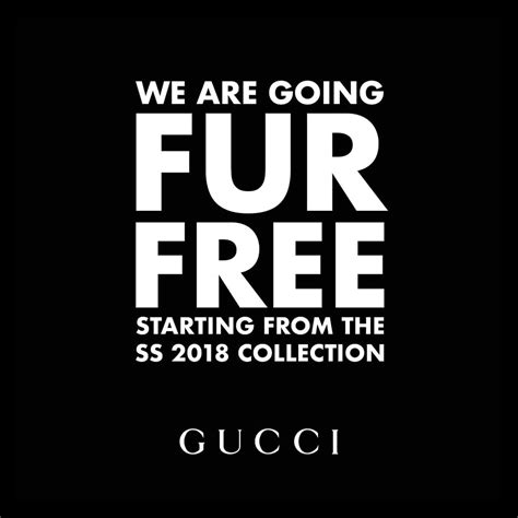 gucci e leggi|gucci equilibrium supply chain.